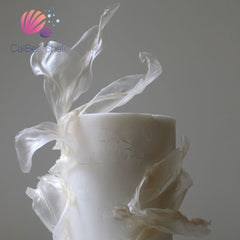 Frühlingsrollenpapier 340 g transparentes Pfannkuchen-Reispapier Frühlingsrollenpapier Reispapier für Lebensmittel Cark Art