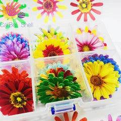 Essbare gemischte Schmetterlings-Wafer-Reispapier-Kuchenaufsätze, Küchenwerkzeuge, Hochzeits-Geburtstags-Party-Kuchen-Dekorationswerkzeug